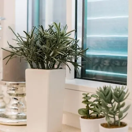 Luxus-villa Mit 4 Schlafzimmern Und Pool In Der Naehe Von Dubrovnik Kroatien Und Bosnien 빌라 Ravno